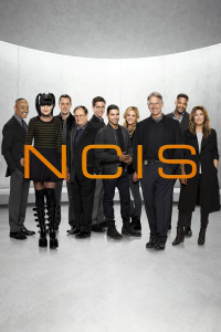 NCIS : Enquêtes spéciales saison 2 épisode 12