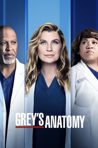 Grey's Anatomy Saison 4 en streaming français