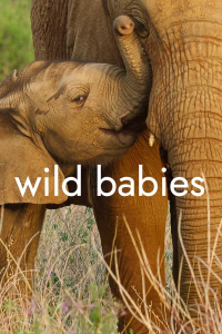 Wild Babies : Petits et Sauvages saison 1