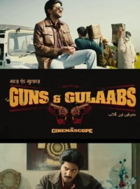 Guns & Gulaabs streaming