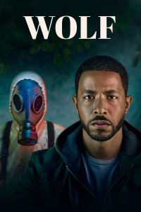Wolf Saison 1 en streaming français